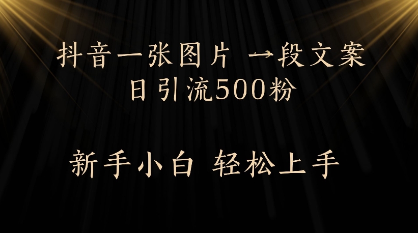 抖音一张图片，一段文案日引流500粉，新手小白 轻松上手-文三轻创资料网