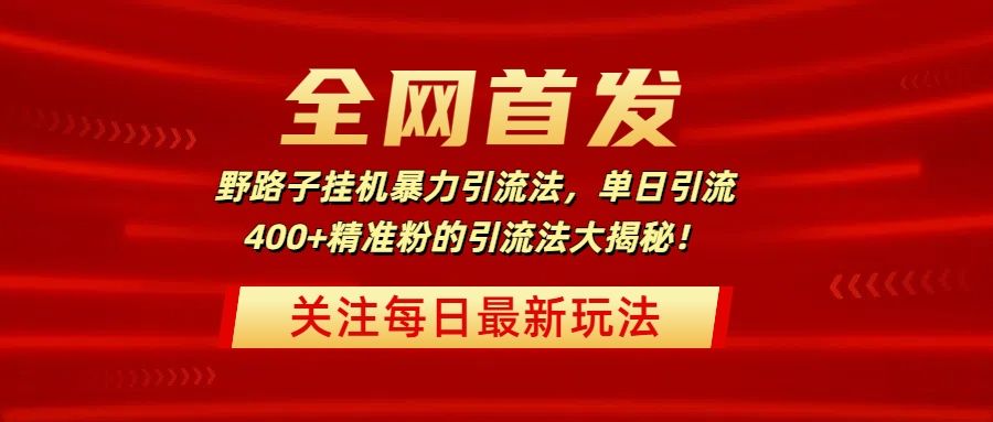 全网首发，野路子挂机暴力引流法，单日引流400+精准粉的引流法大揭秘！-文三轻创资料网