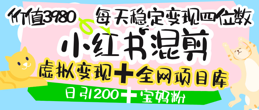 价值3980的小红书混剪, 虚拟变现 +全网项目库 , 日引200+宝妈创业粉,每天稳定四位数变现-文三轻创资料网