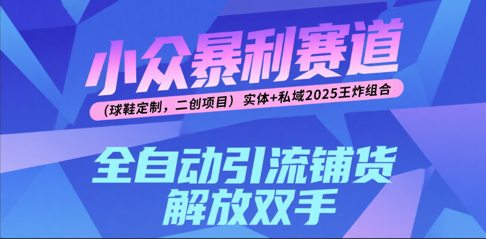 楠—小众暴利赛道(球鞋定制,二创项目)实体+私域2025王炸组合-文三轻创资料网