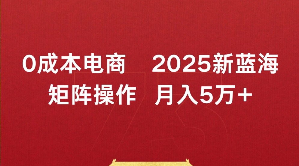 0成本电商2025新蓝海矩阵操作 月入5万+-文三轻创资料网