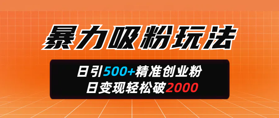 暴力吸粉玩法，日引500+精准创业粉，日变现轻松破2000-文三轻创资料网