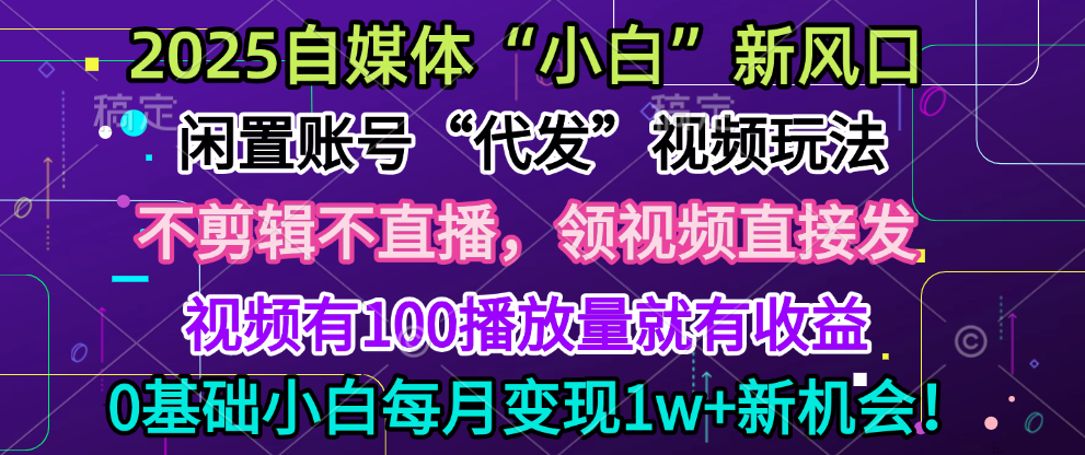 2025每月躺赚5w+新机会，闲置视频账号一键代发玩法，0粉不实名不剪辑，领了视频直接发，0基础小白也能日入300+-文三轻创资料网