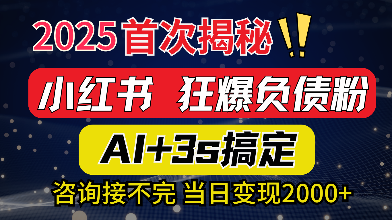 2025引流天花板：最新小红书狂暴负债粉思路，咨询接不断，当日入2000+-文三轻创资料网