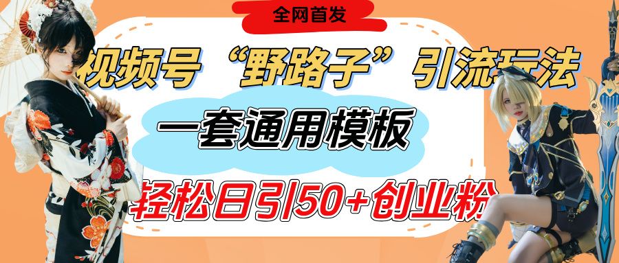 视频号“野路子”玩法，评论区疯狂截流，一套模板单日单号引流50+创业粉-文三轻创资料网