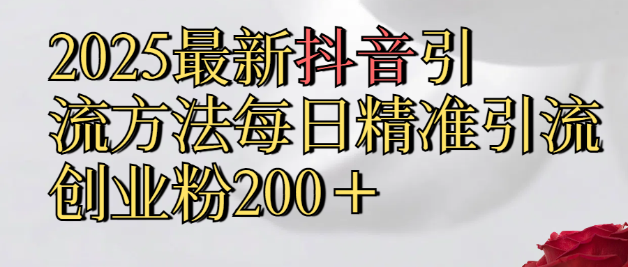 2025最新,抖音引流,方法每日精准引流创业粉300＋-文三轻创资料网
