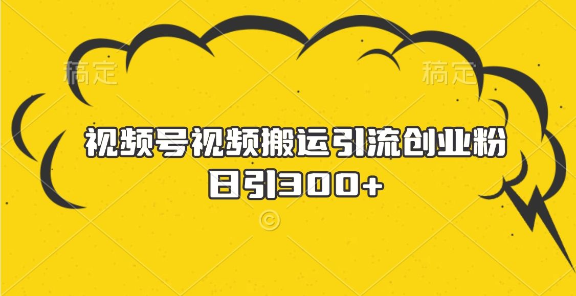 视频号视频搬运引流创业粉，日引300+-文三轻创资料网