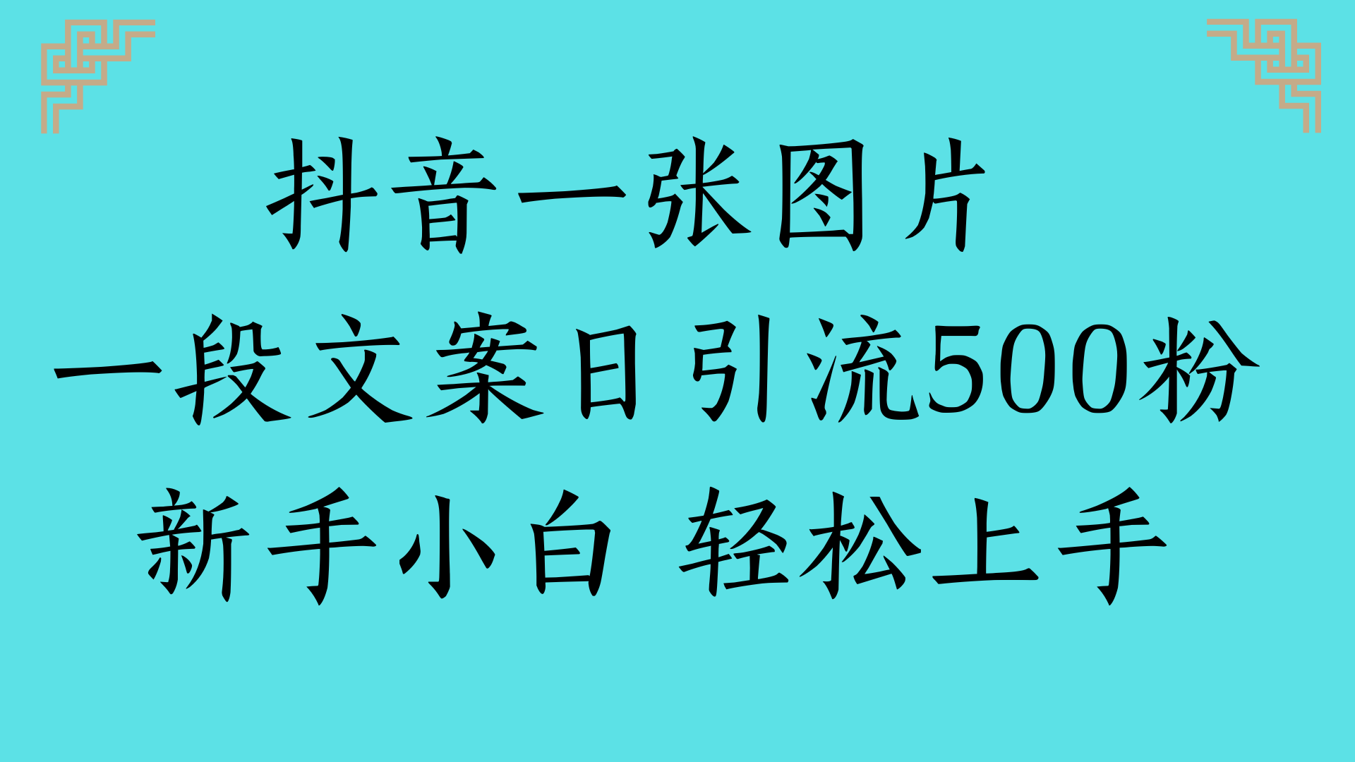 抖音一张图片 一段文案日引流500粉新手小白 轻松上手-文三轻创资料网