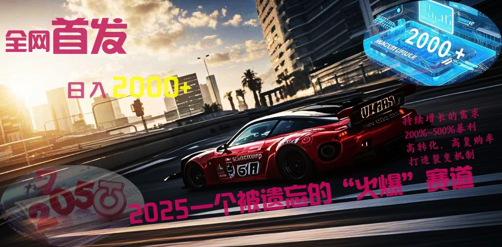 全网首发：2025一个被遗忘的“火爆”赛道轻松日入2000+-文三轻创资料网