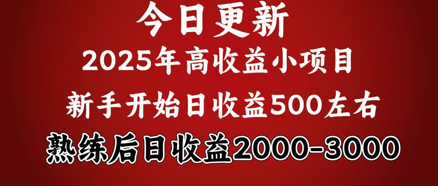 2025开年好项目，新手日收益500+ 熟练掌握后，日收益平均2000多-文三轻创资料网