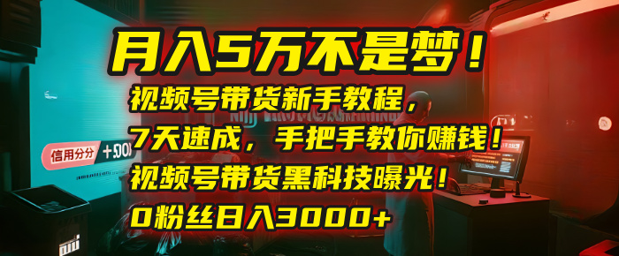 月入5万不是梦！视频号带货新手教程，7天速成，手把手教你赚钱！视频号带货黑科技曝光！0粉丝日入3000+-文三轻创资料网