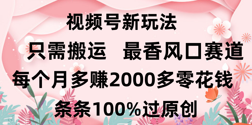 日入2000+，条条100%过原创，视频号最香风口赛道，小白轻松上手-文三轻创资料网