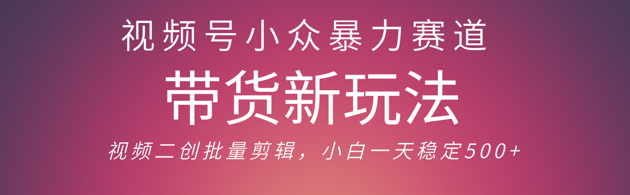 视频号小众暴力赛道，最新带货玩法 小白也能轻松日入500+ 保姆及教程-文三轻创资料网