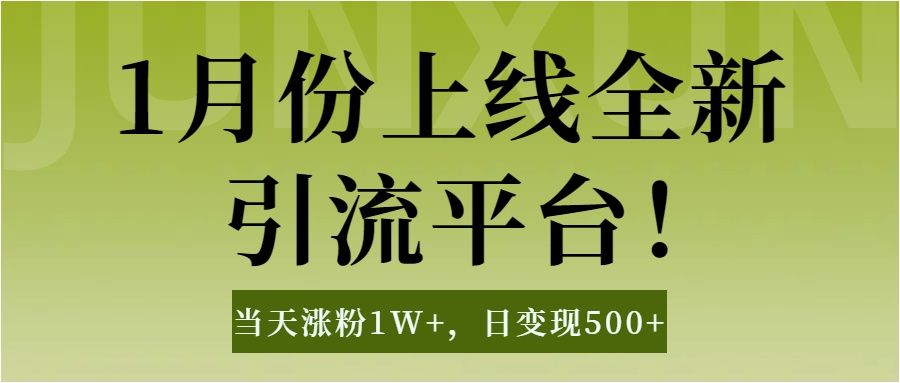 1月上线全新引流平台,当天涨粉1W+,日变现500+工具无脑涨粉,解放双手操作简单-文三轻创资料网