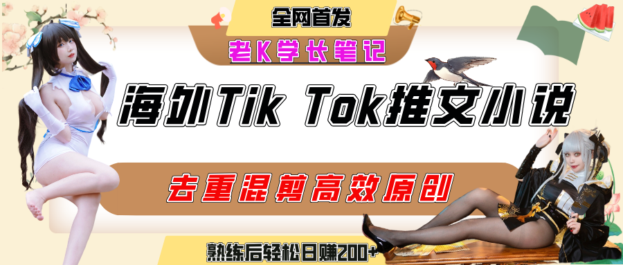 海外tiktok小说推文暴力项目，高停留率，高转化率，上手后一天搞顿饭钱不是问题-文三轻创资料网