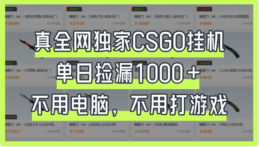 真全网独家CSGO挂机，单日捡漏1000+-文三轻创资料网