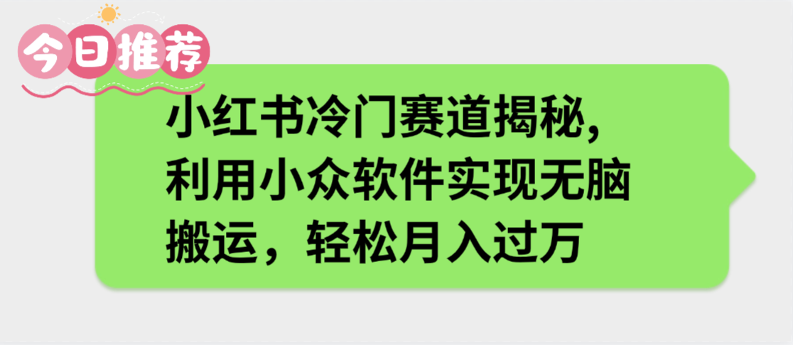 小红书冷门赛道揭秘,利用小众软件实现无脑搬运，轻松月入过万-文三轻创资料网