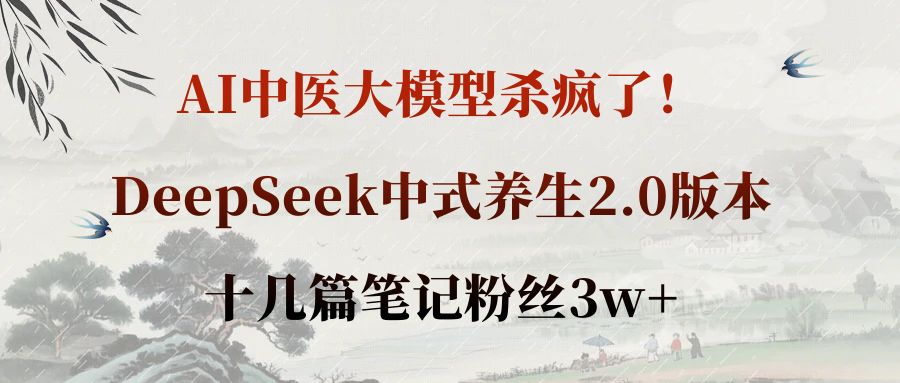 AI中医大模型杀疯了!DeepSeek中式养生2.0版本,十几篇笔记粉丝3w+-文三轻创资料网